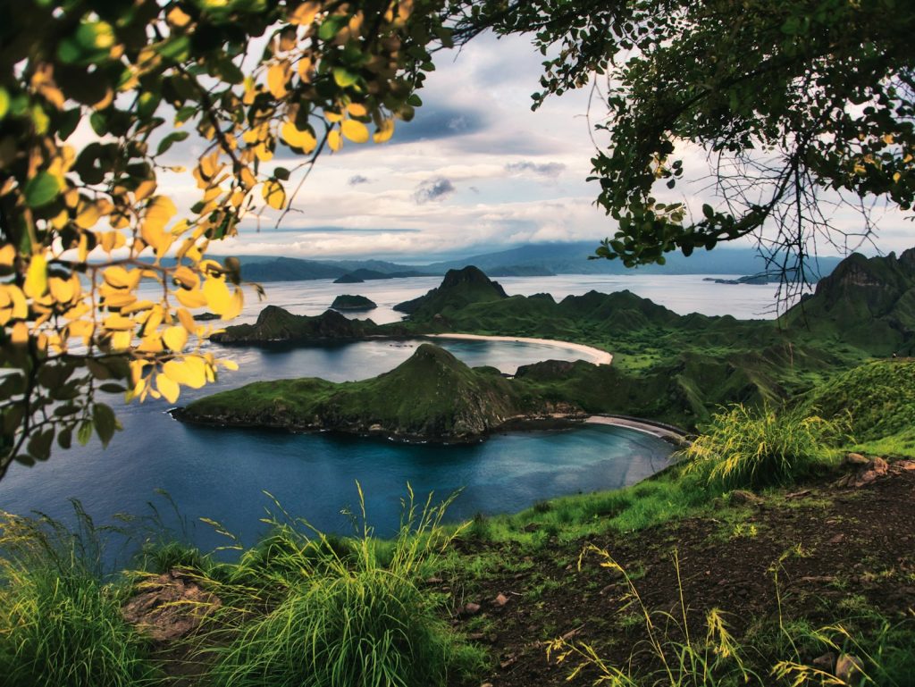 Komodo Wellness Retreat FAQ: Honest Answers