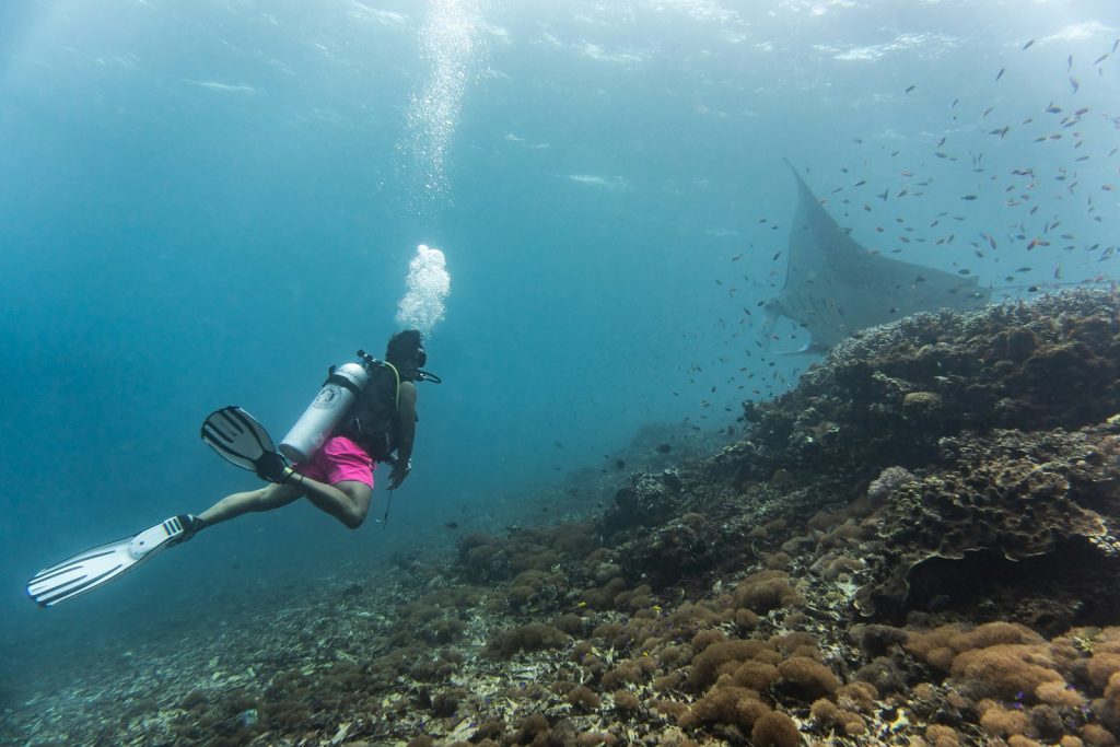 Breathwork & Yoga for Divers in Komodo