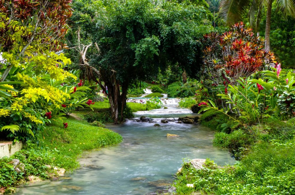 Fasting & Detox in Flores: An Honest Look