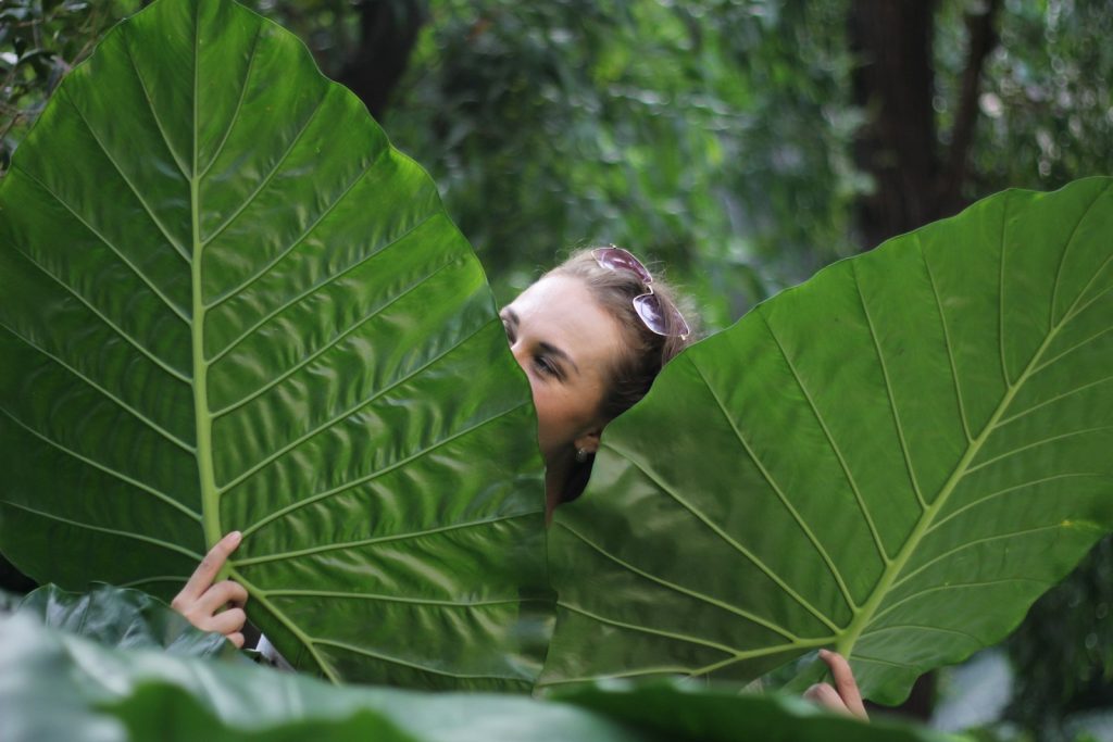 Yoga Styles for a Komodo Retreat: Which Fits