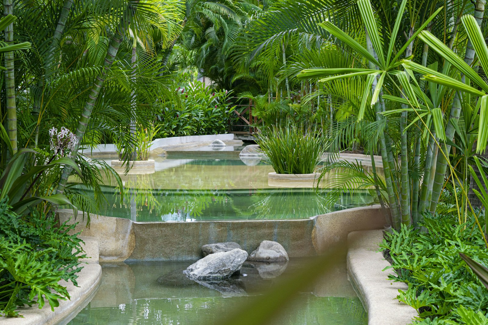 Detox Retreats